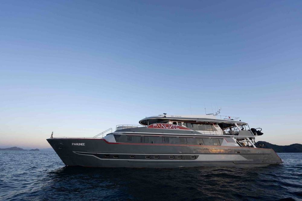 印度尼西亚New Panunee船宿潜水套餐