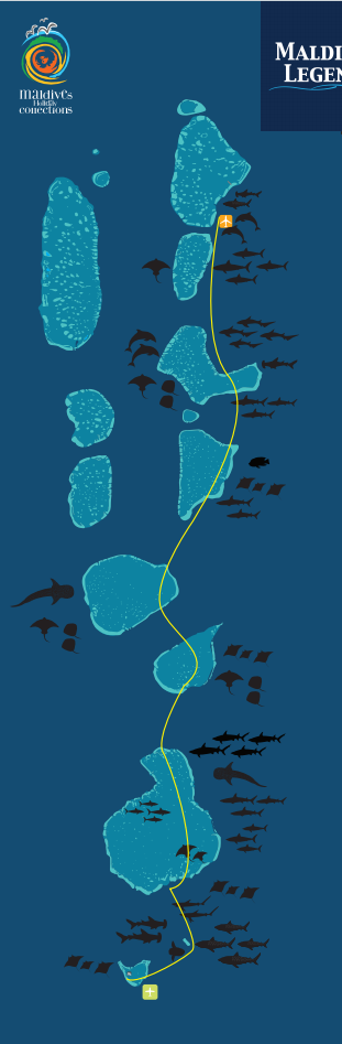 测试123123